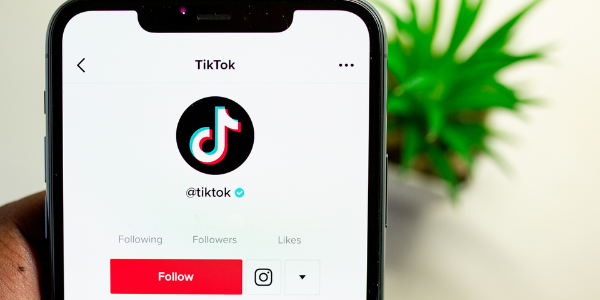 The Ultimate Guide To Using TikTok For BCommunication